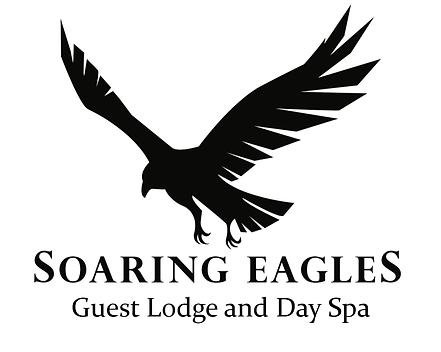 Home Soaringeaglesdayspa